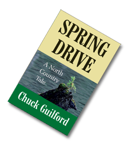 Spring Drive cover